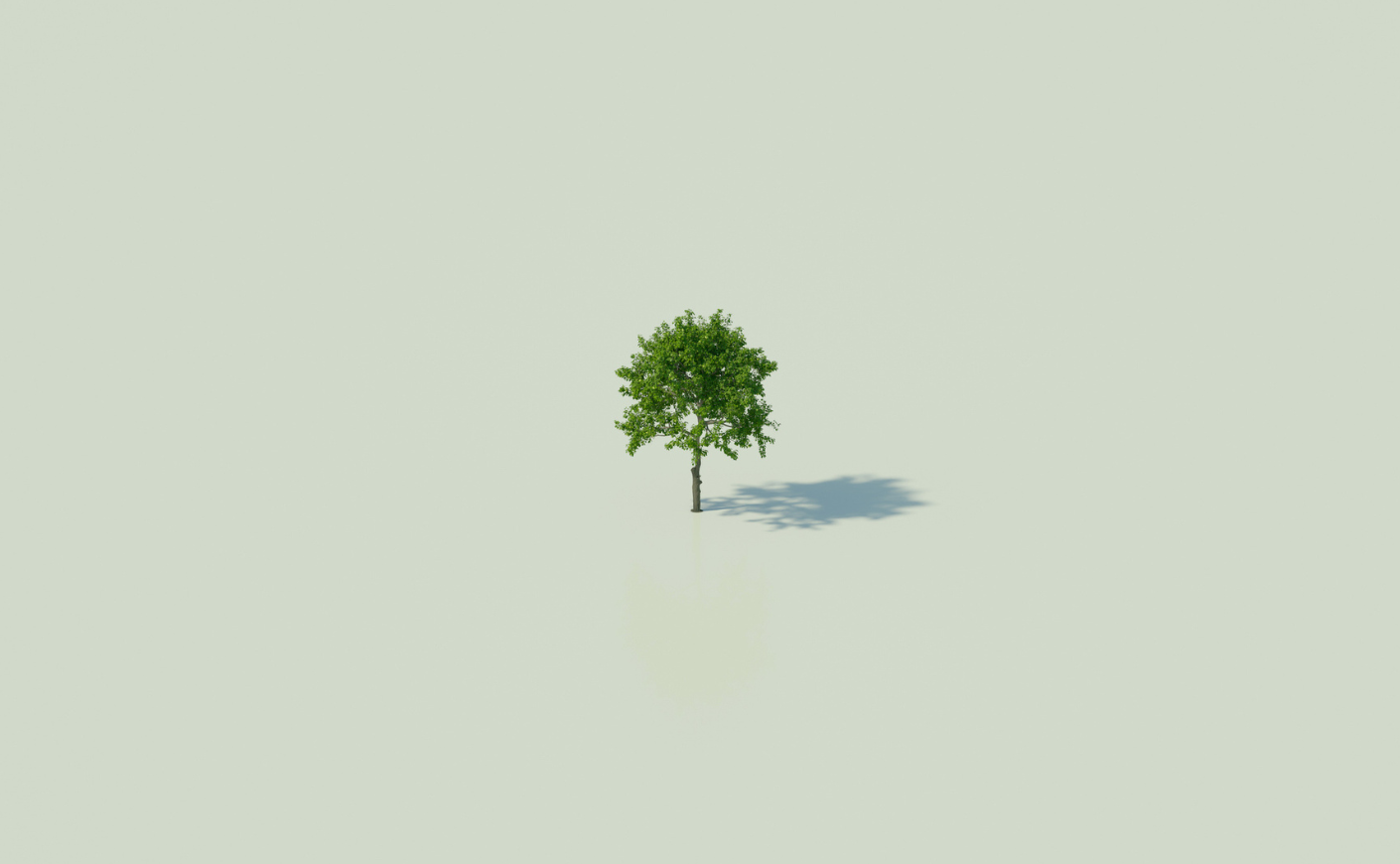small tree alone