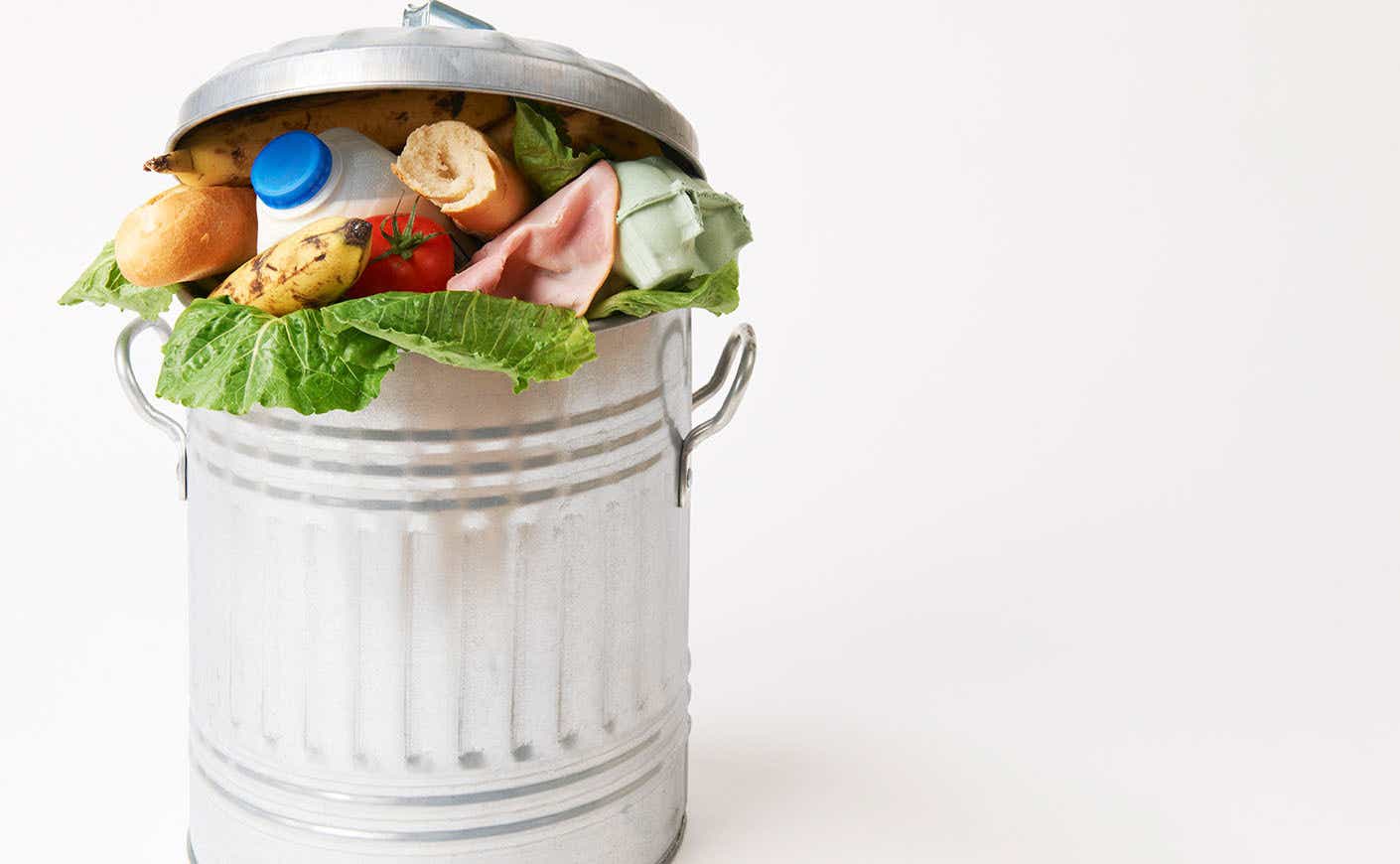 Food waste trash can