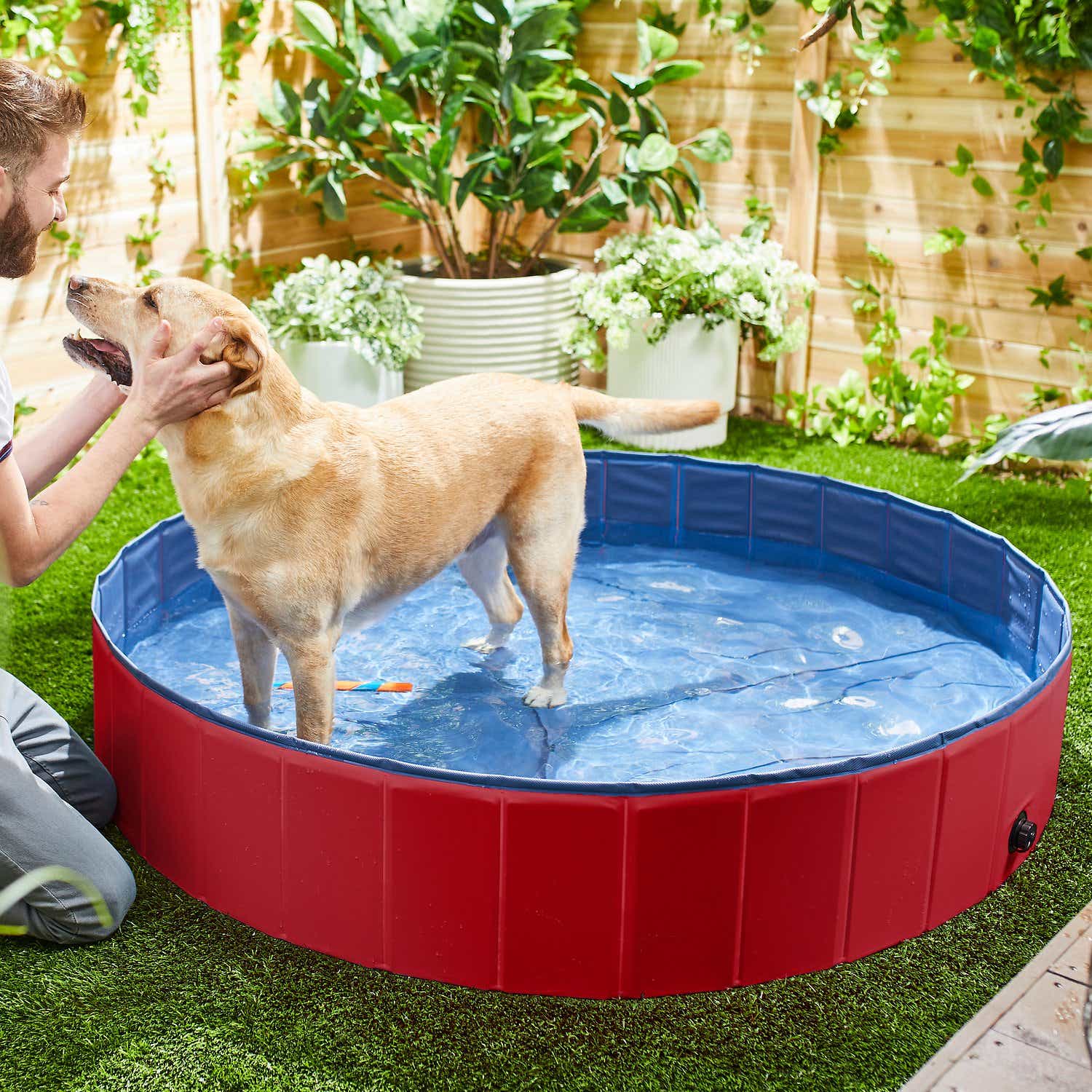 Frisco Outdoor Dog Swimming Pool
