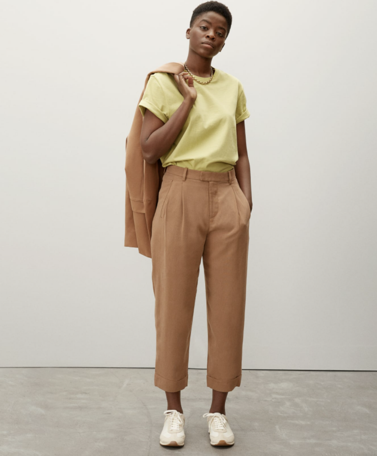 Everlane The Put-Together Pleat Pant