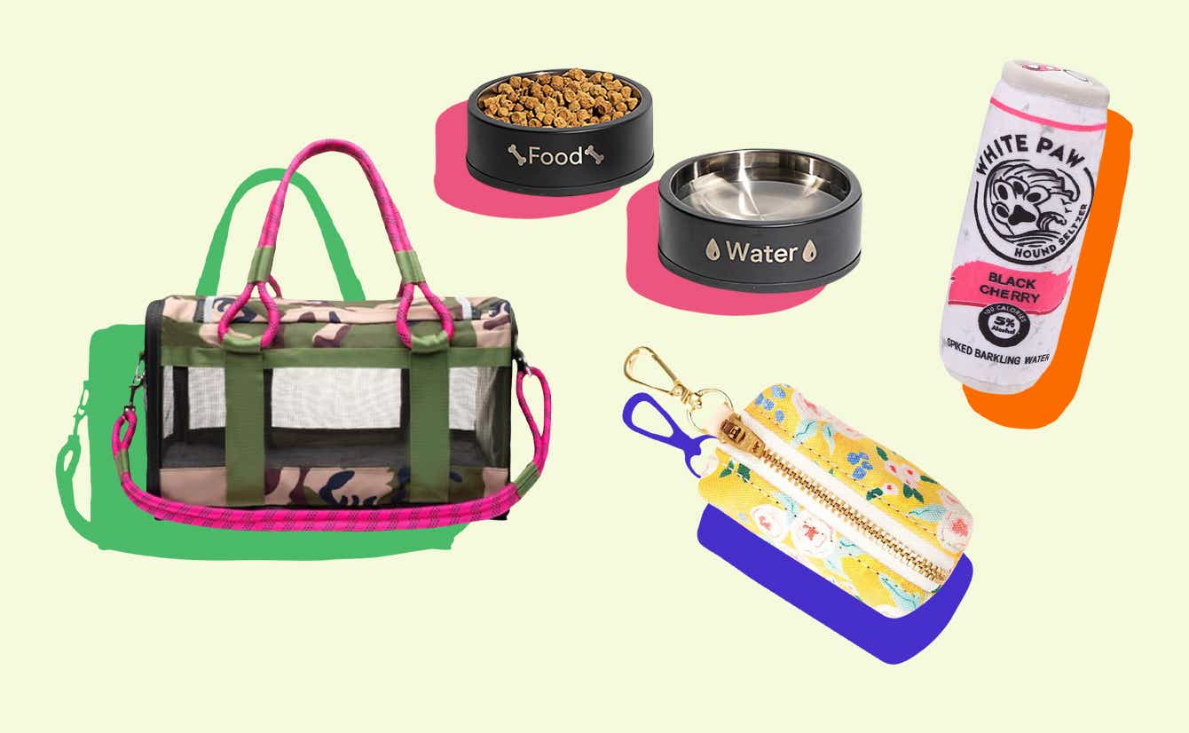 The Best Dog Supplies, Accessories, Toys & Treats