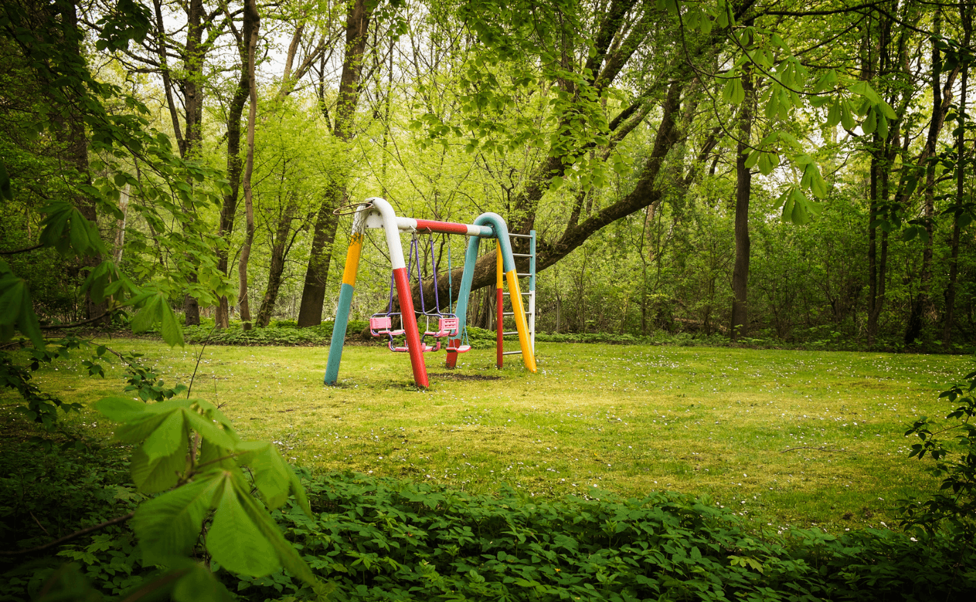 empty swing set in the woods