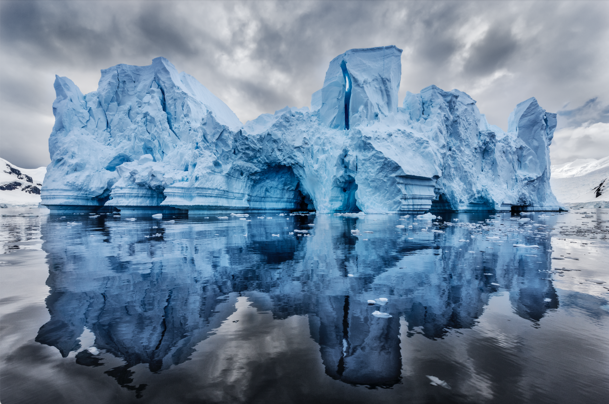 Blåt mærke Arbejdskraft hemmeligt 5 Stunning Nature Photographs by Paul Nicklen | KCM