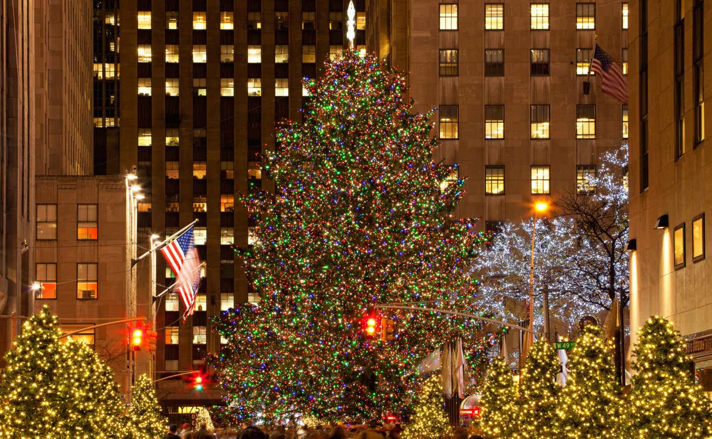 A big Christmas tree is pictured.