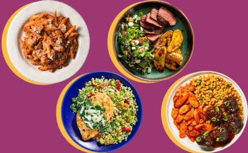four prepared meals on purple background