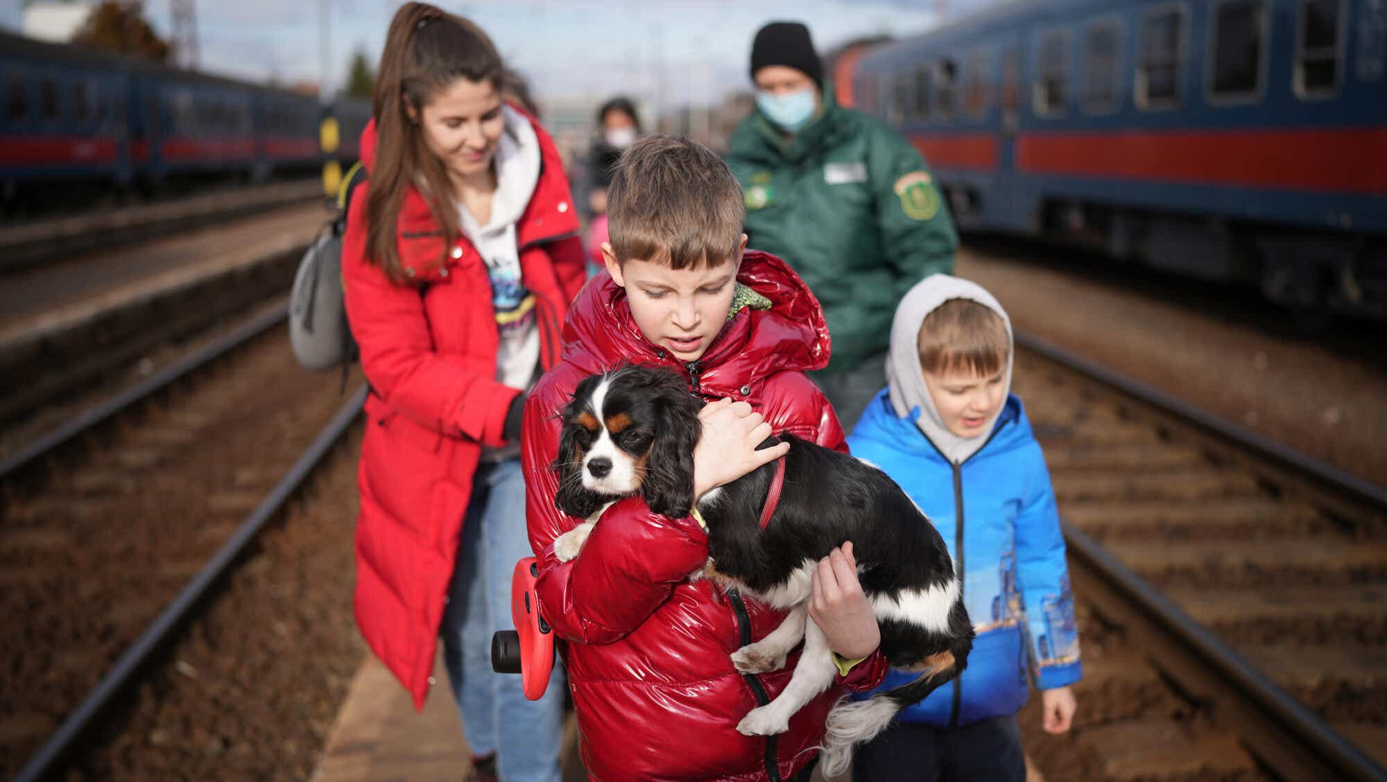 Refugee Kyryl, aged 9, from Kyiv arrives with his pet dog Hugo at the Hungarian border.