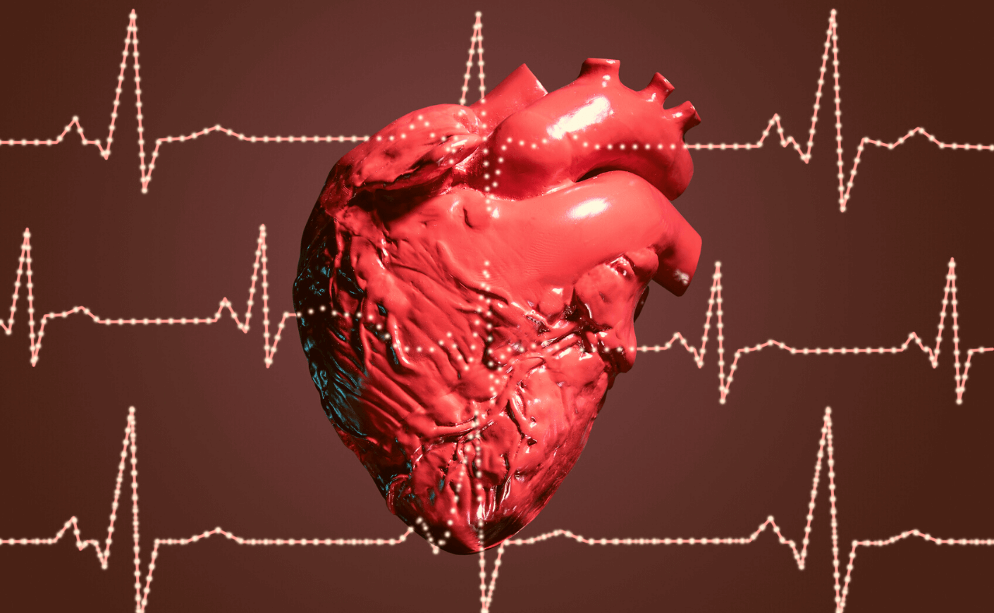 model of a heart with pulses