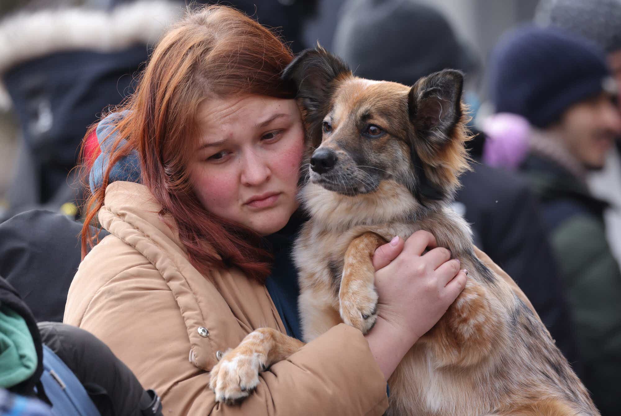 A young woman arriving from Ukraine clutches her dog as they wait