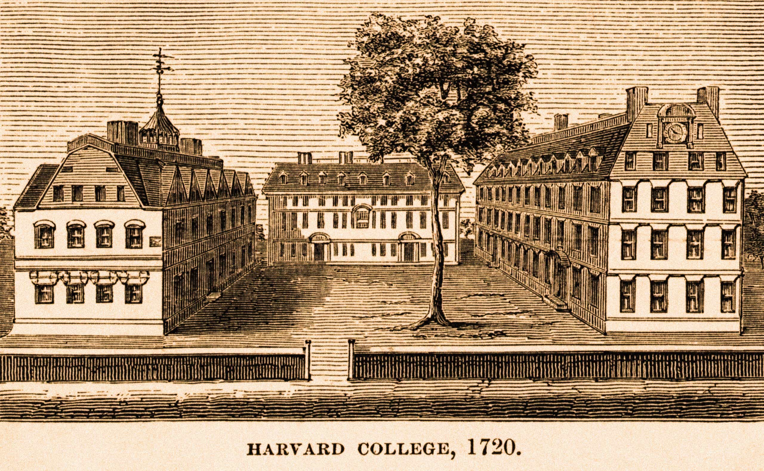 Harvard illustration