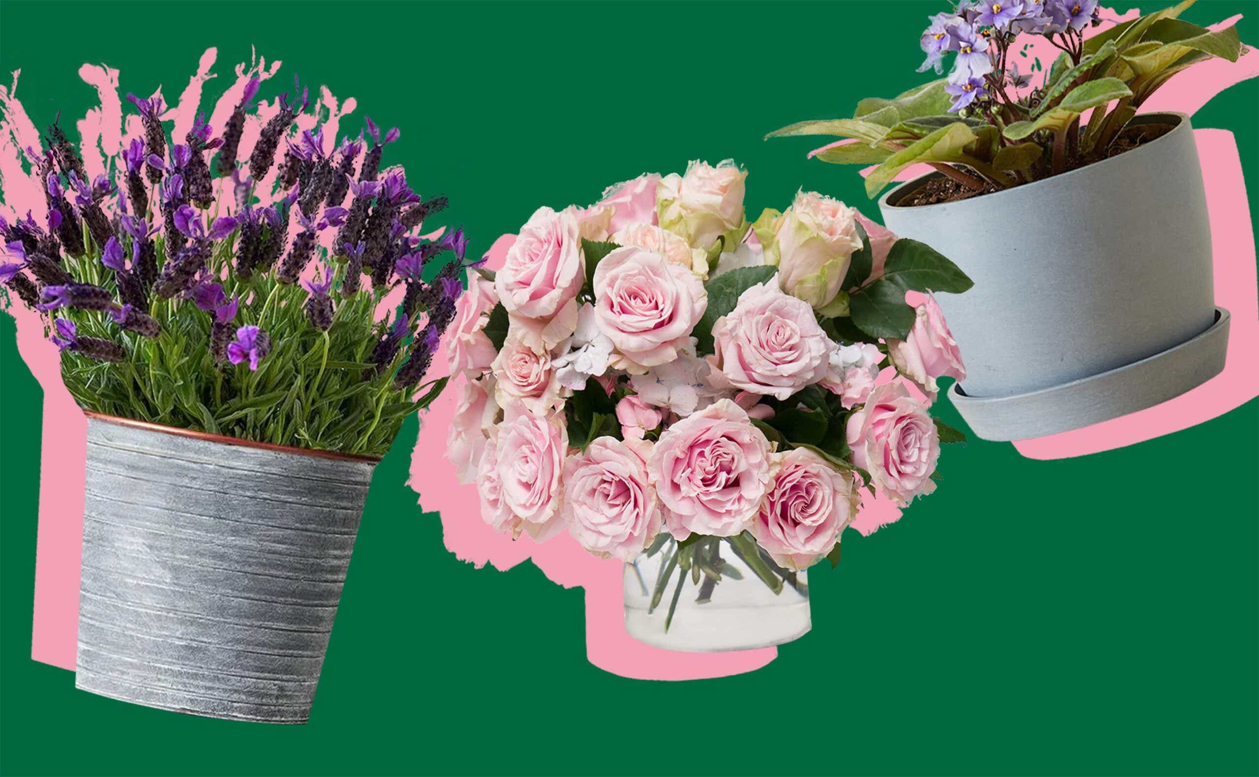 10 Best Flower Delivery Services for Mother's Day Bouquets KCM