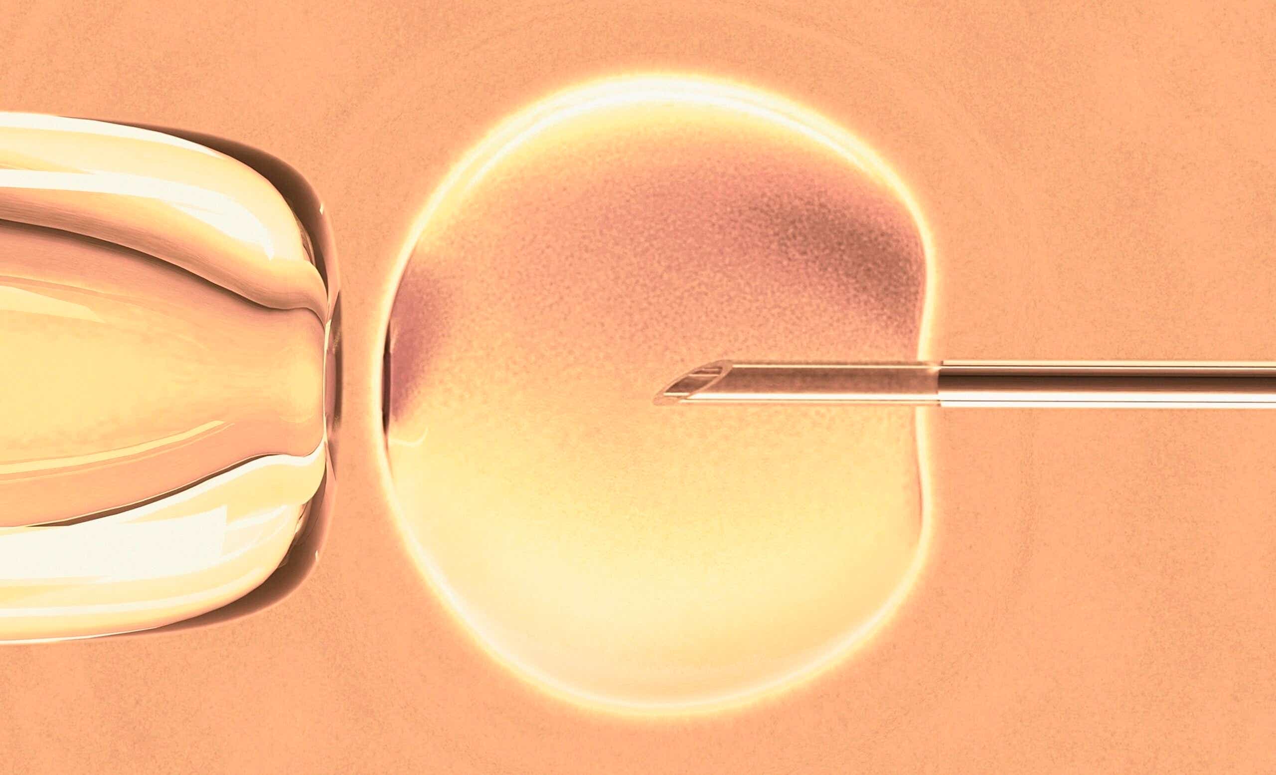 In vitro fertilisation, computer artwork.