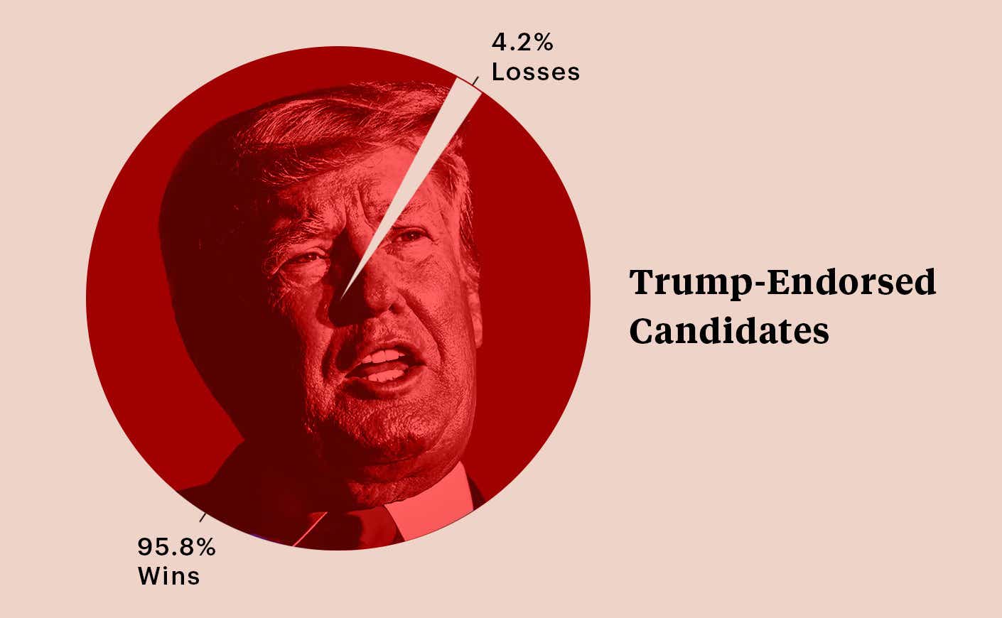 donald trump in the center of a pie chart