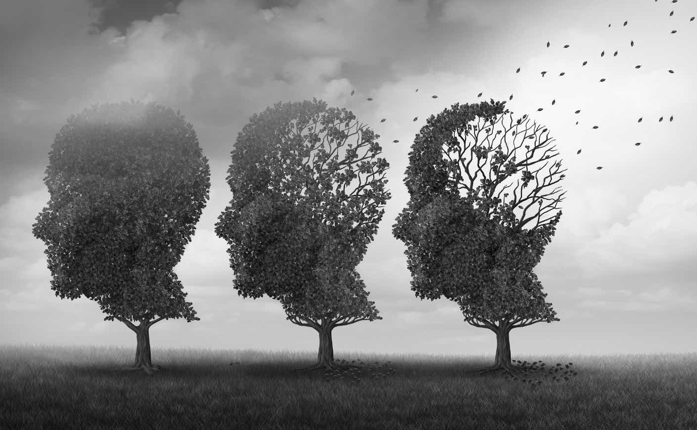 Trees in the shape of heads, with leaves falling off to represent dementia