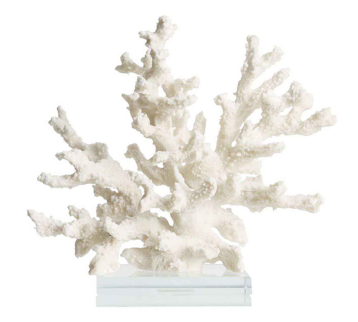 A coral sculpture.