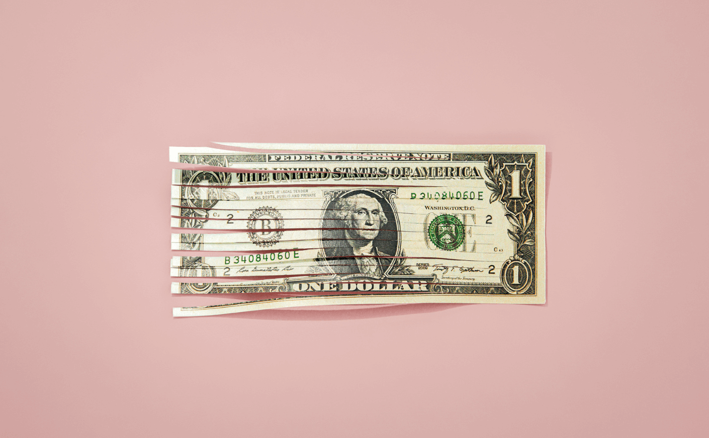 shredded US dollar on a pink background
