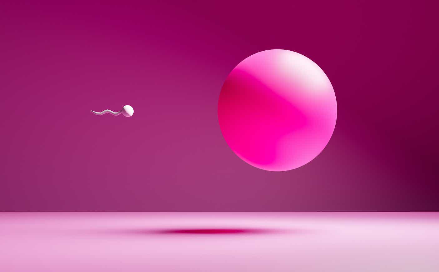 Illustration of a sperm approaching a giant pink egg