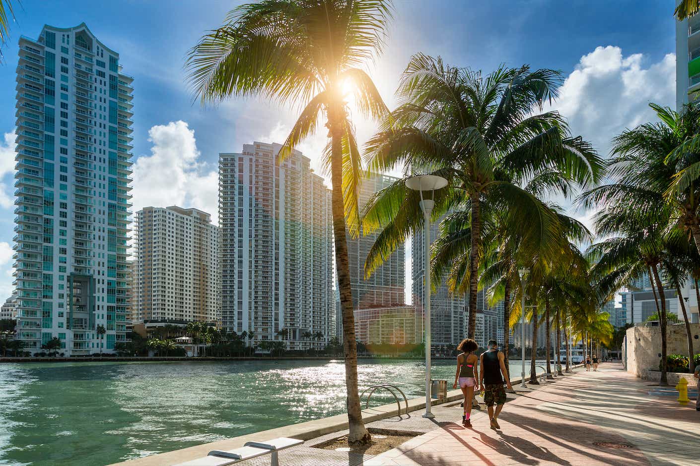 People flanked by palm trees walk alongside the Miami River during a sunny day; high rise buildings are in the background.