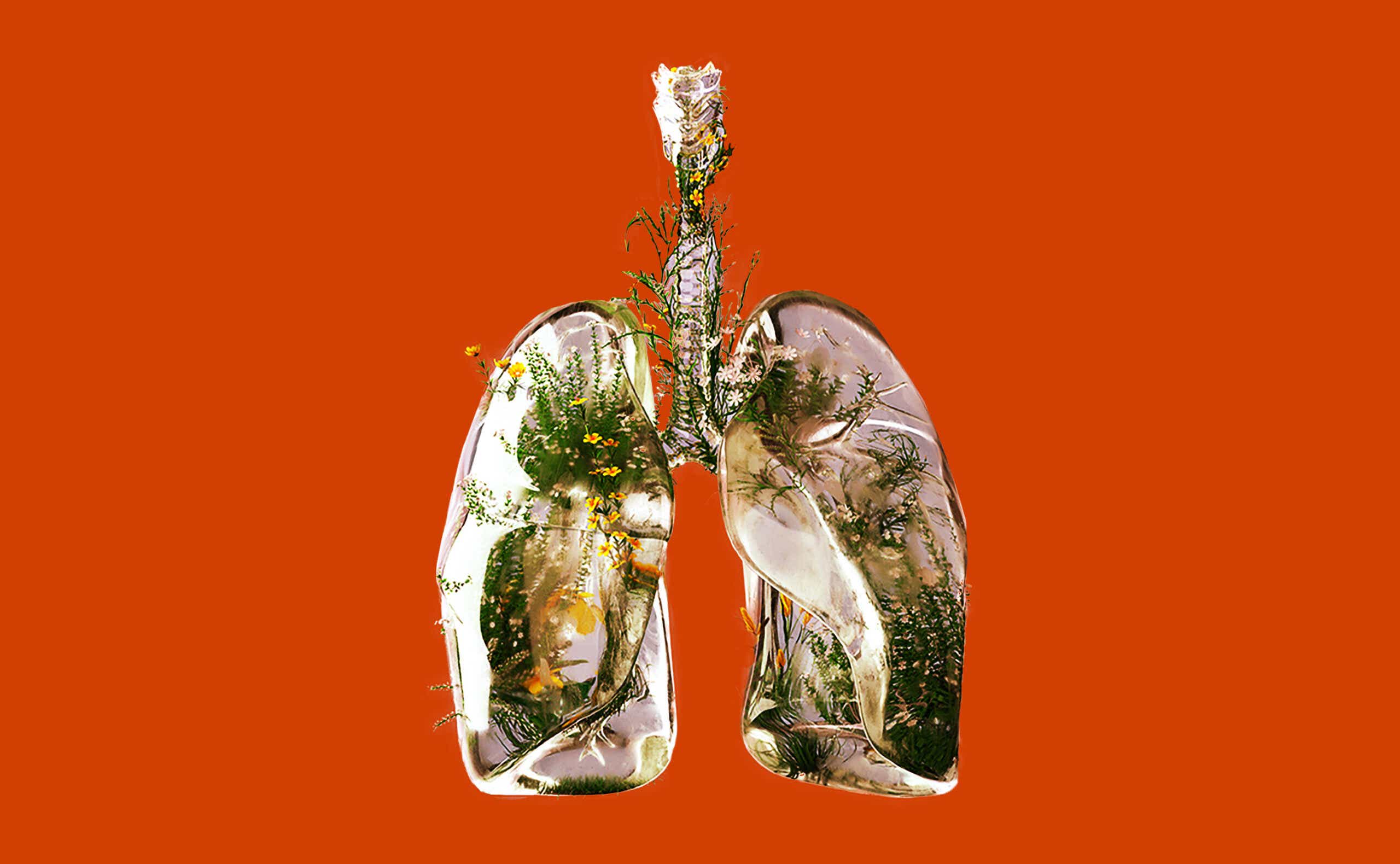 an illustration of unhealthy lungs