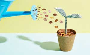 a watering can spouting pennies on a money plant