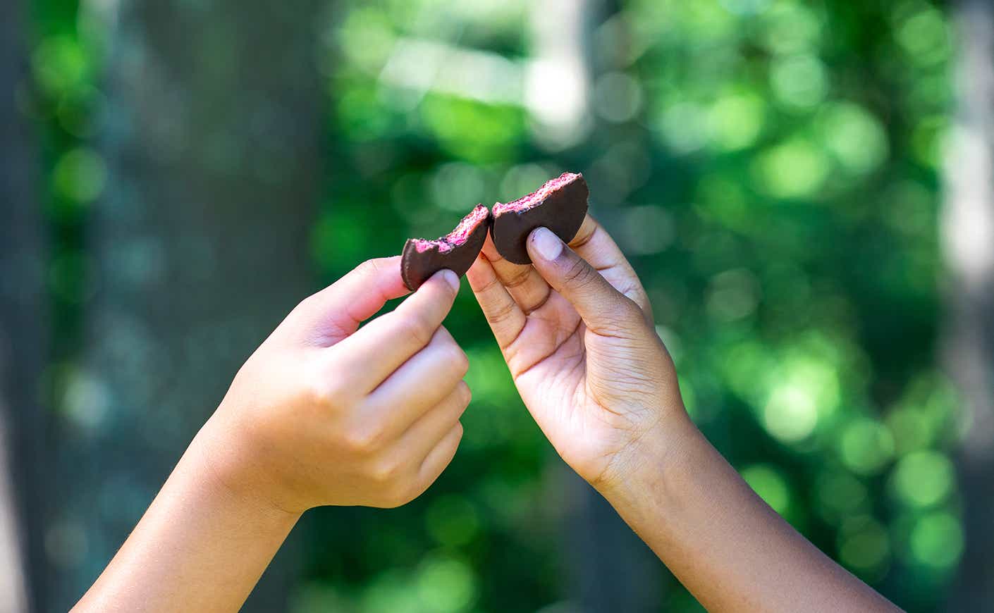 Hands holding up two Raspberry Rally cookies with a bite taken out