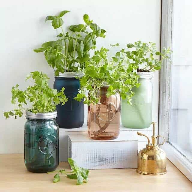 mason jar garden