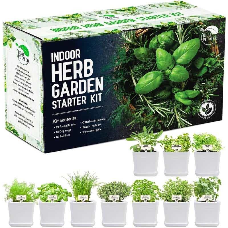 9 Best Indoor Herb Gardens for Growing Your Own Food KCM