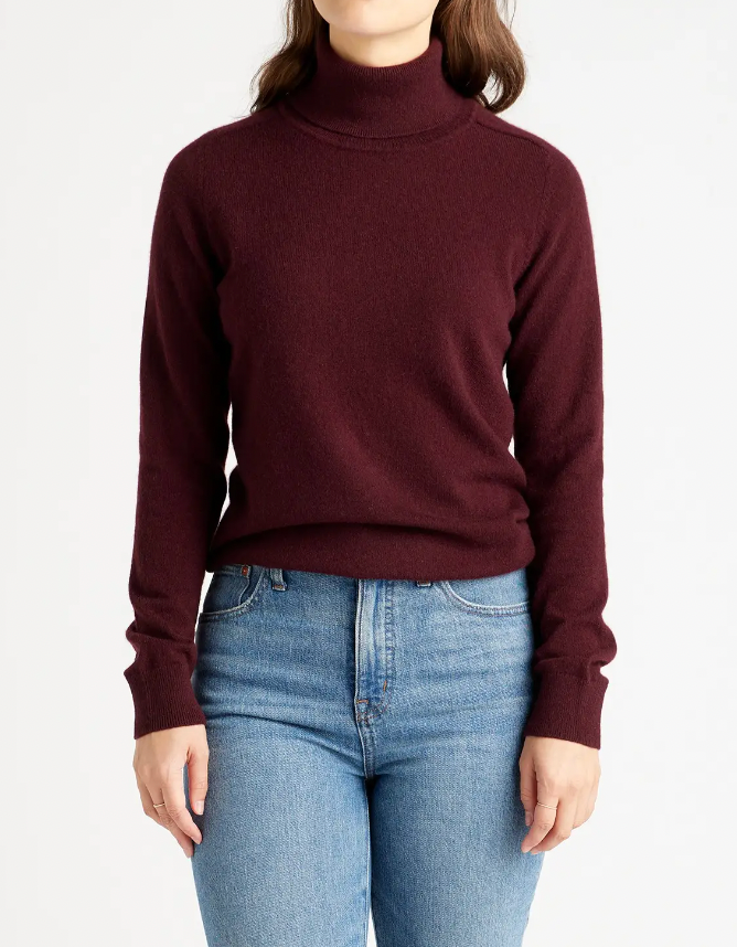 Quince Mongolian Cashmere Turtleneck Sweater
