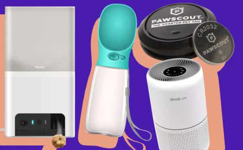 collage of pet gadgets