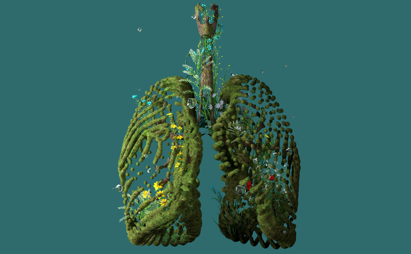 lungs made out of plants