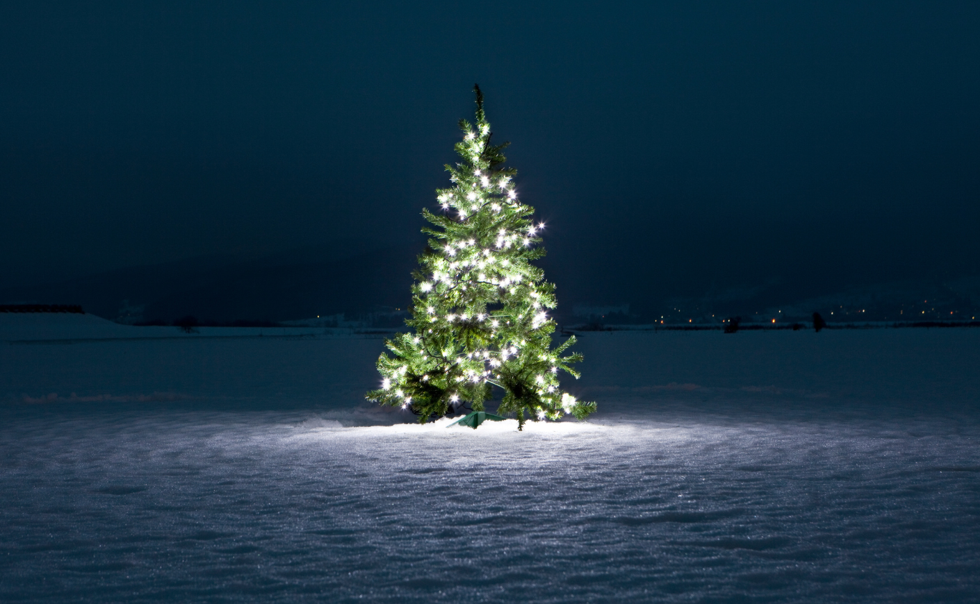 Are We In Store for a 2022 Christmas Tree Shortage? KCM