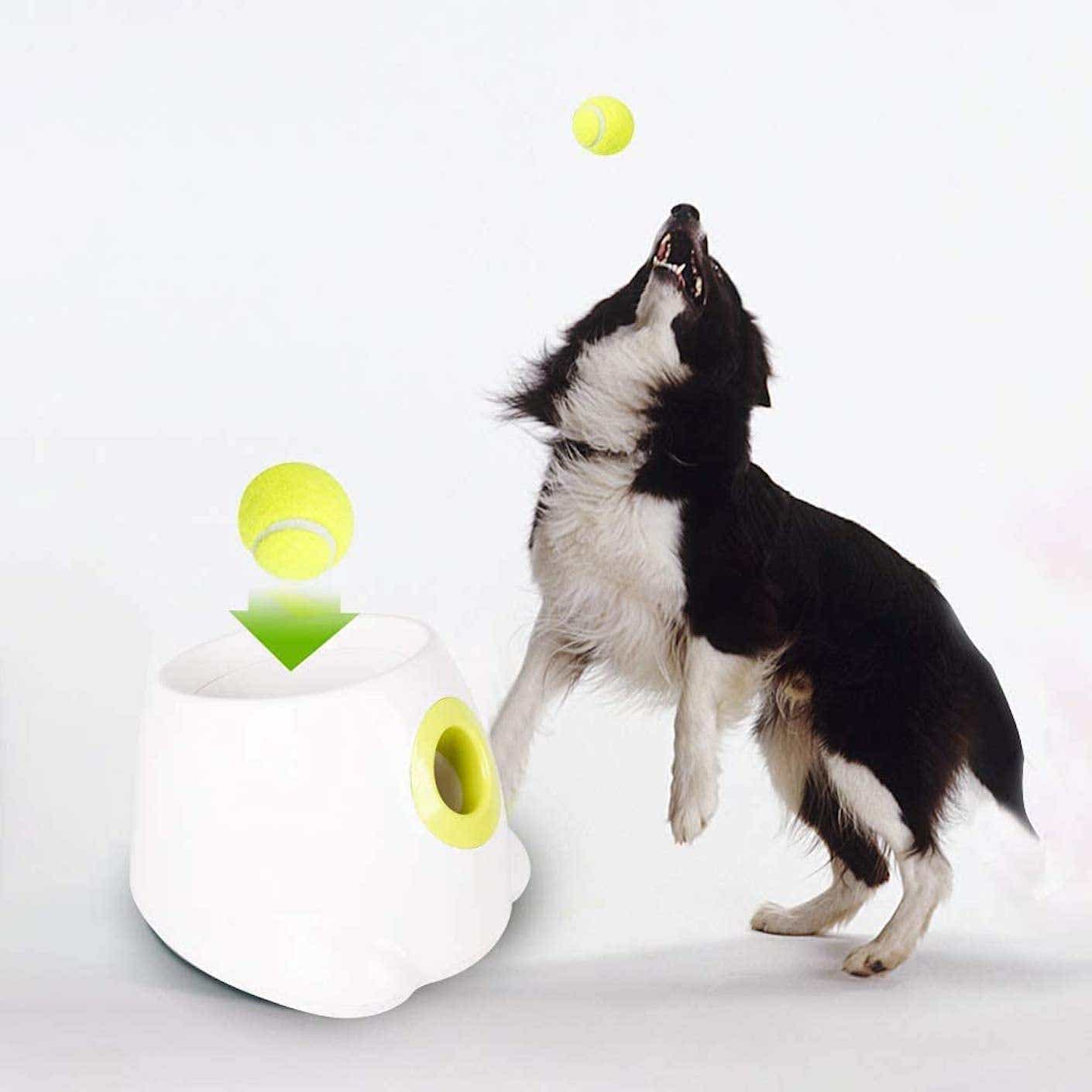 A white electric ball launcher tosses a yellow tennis ball at a leaping dog.