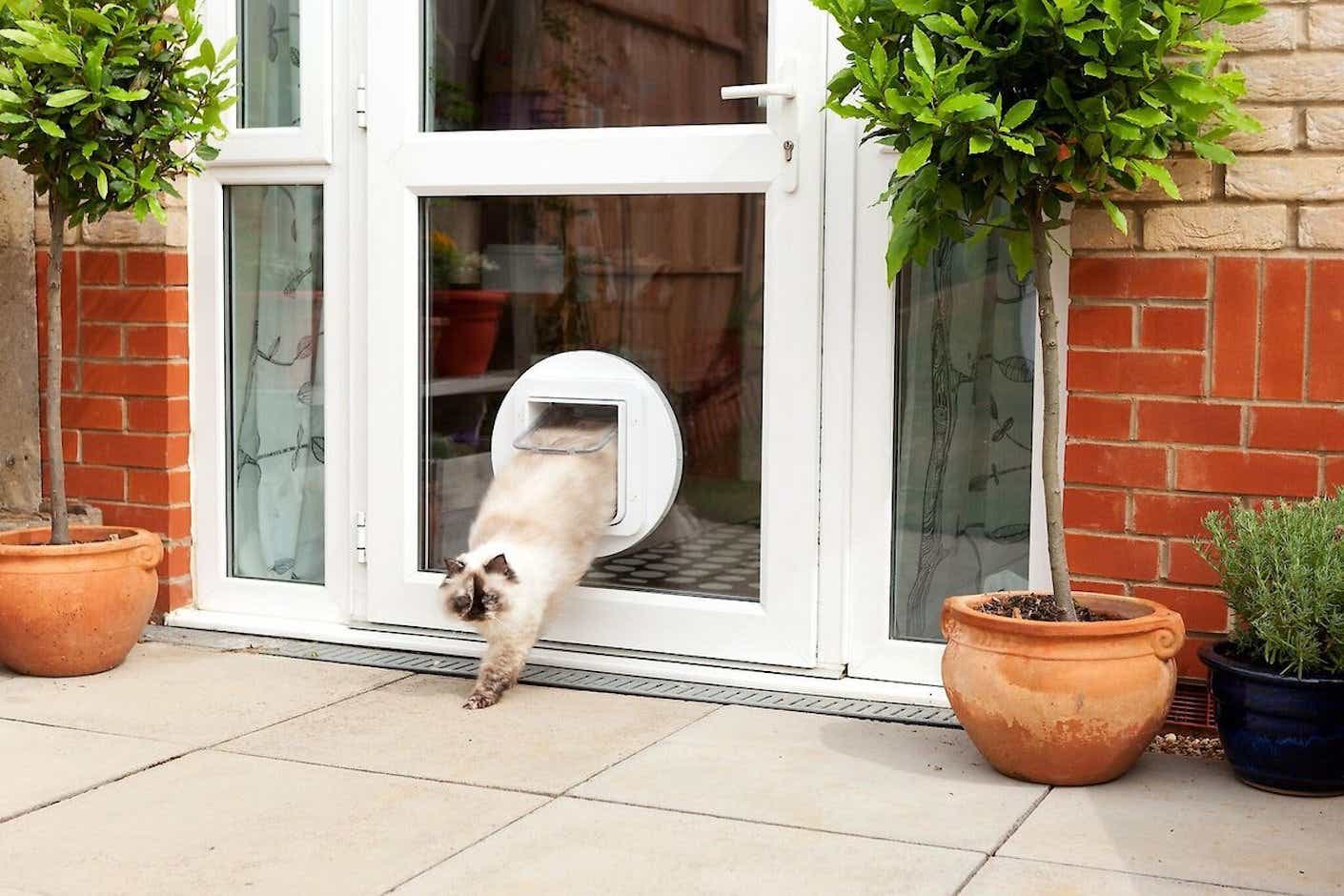 A fluffy cat emerges from an electronic smart pet door installed in a back door.