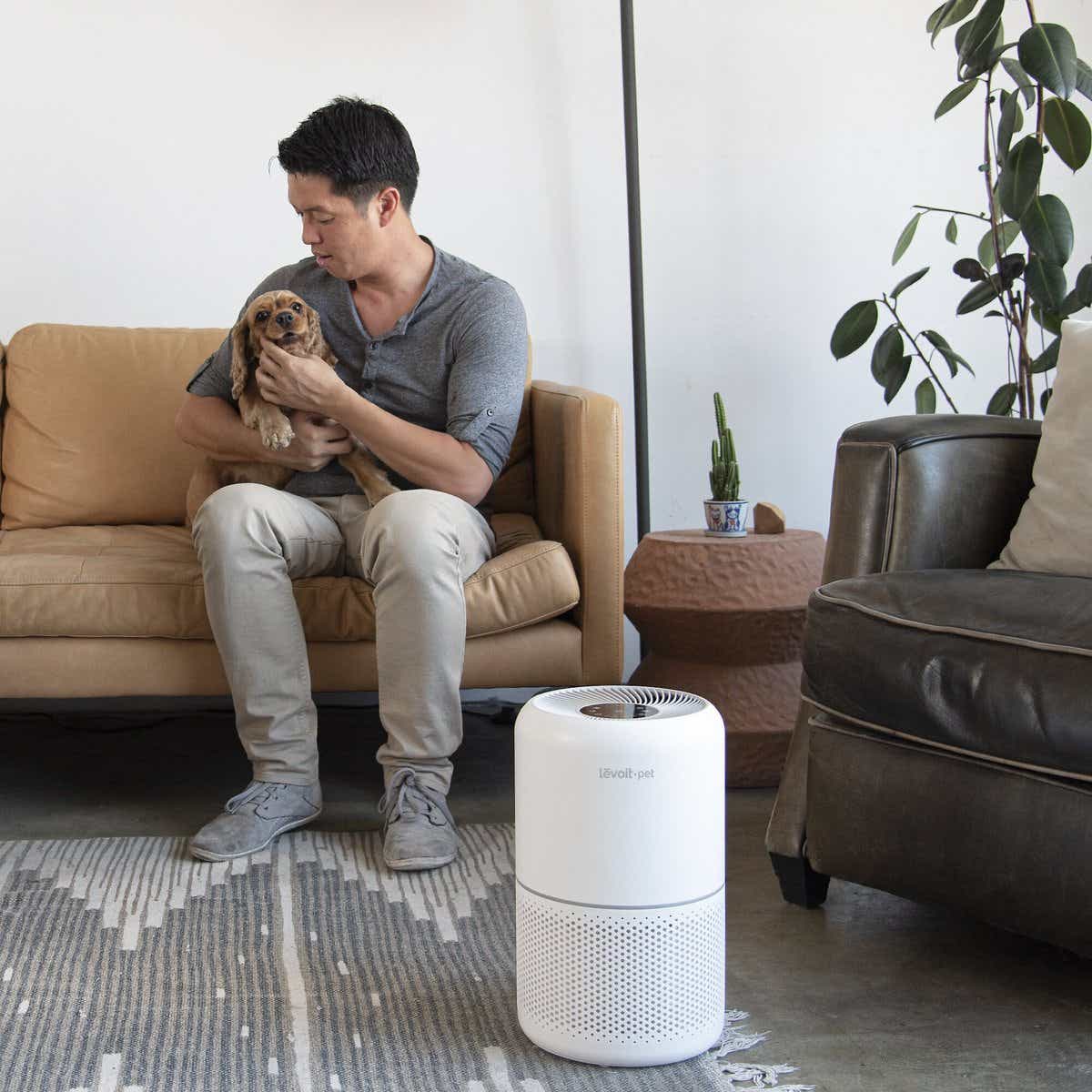 A man cradles a small dog in the background while a white, electric air purifier stands in the foreground.