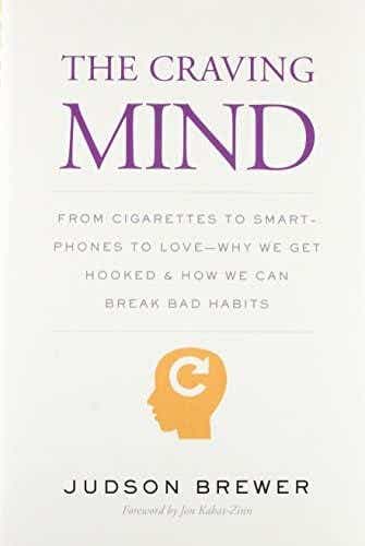 the craving mind book