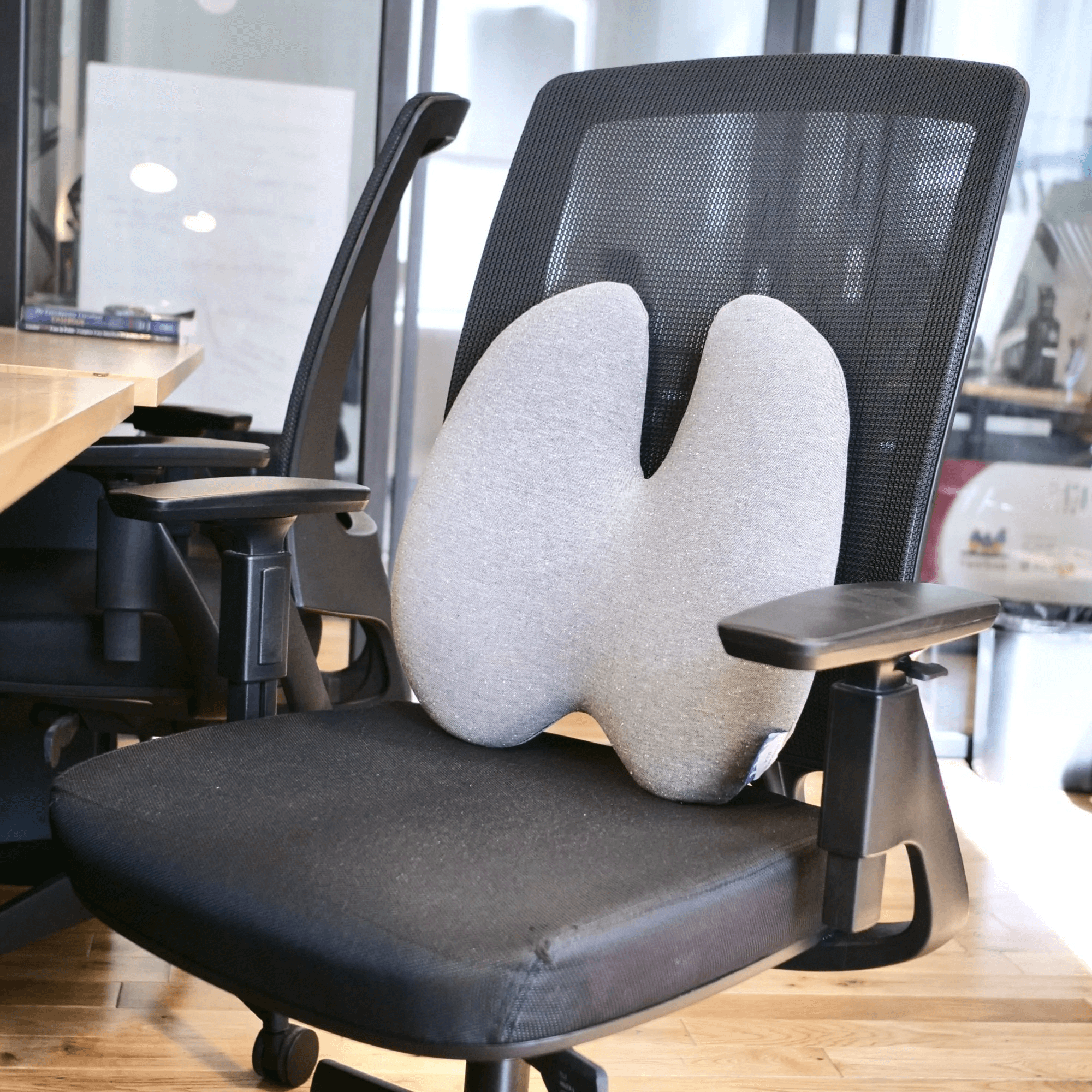 cushion lab back pillow