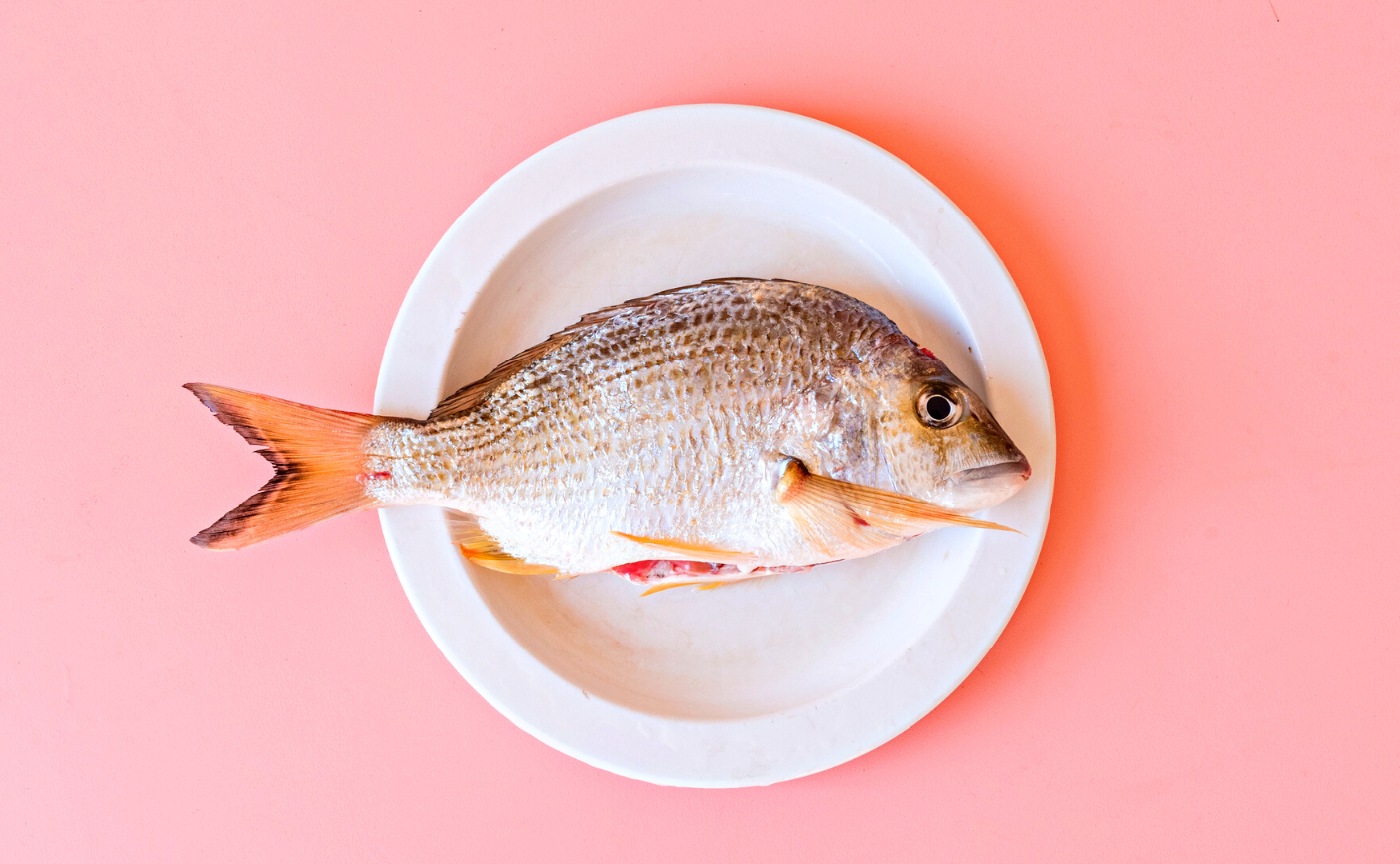 Study Finds "Forever Chemicals" in Freshwater Fish KCM