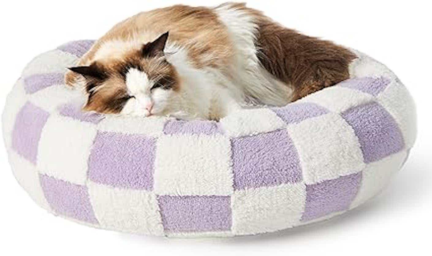 A pet bed