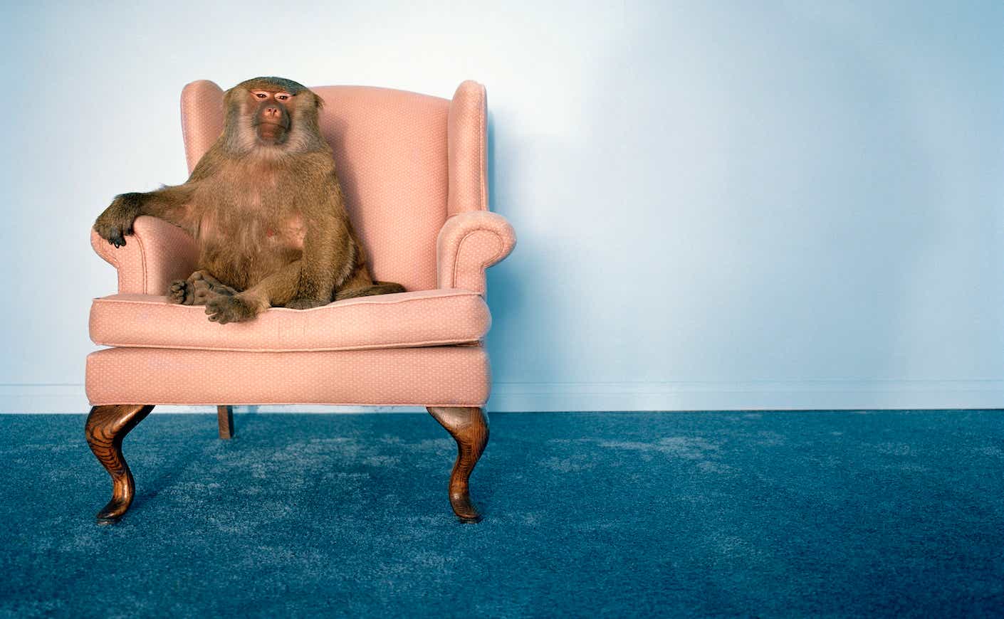 Is Sitting Too Much Bad For You? Is Standing Better Than Sitting