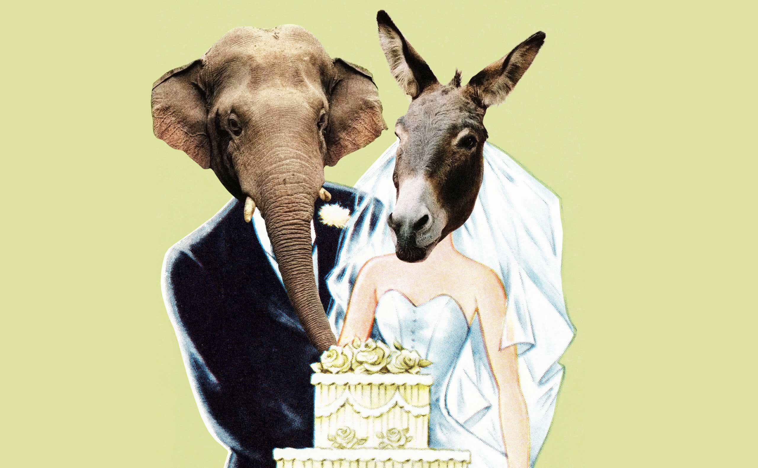 Illustration of a married couple. The groom has an elephant head and the bride has a donkey head, representing different political parties