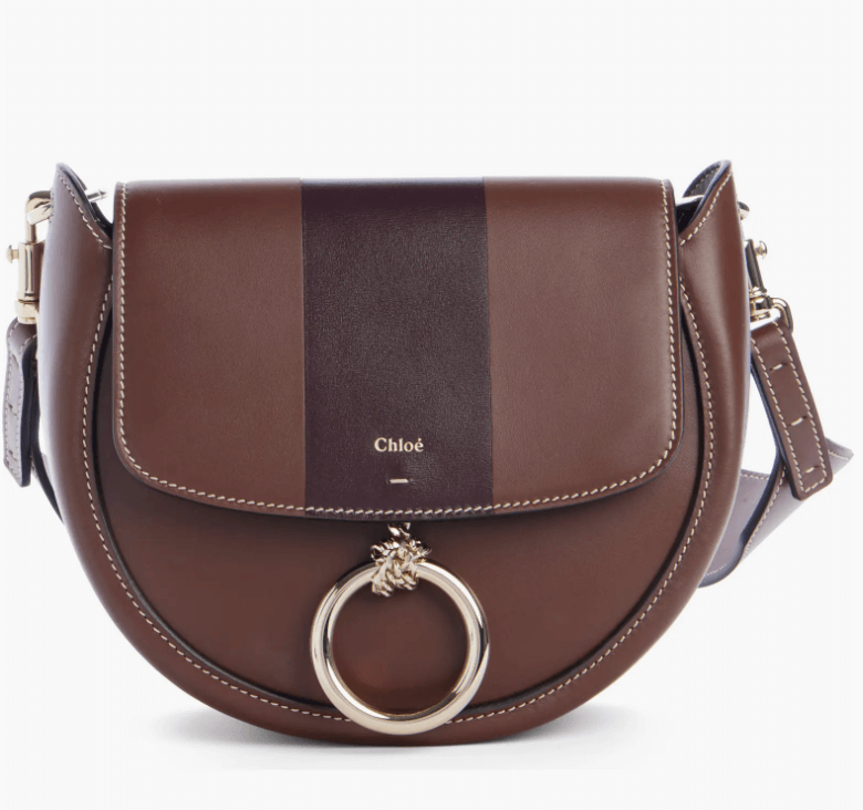 chloe Small Arlene Leather Crossbody Saddle Bag