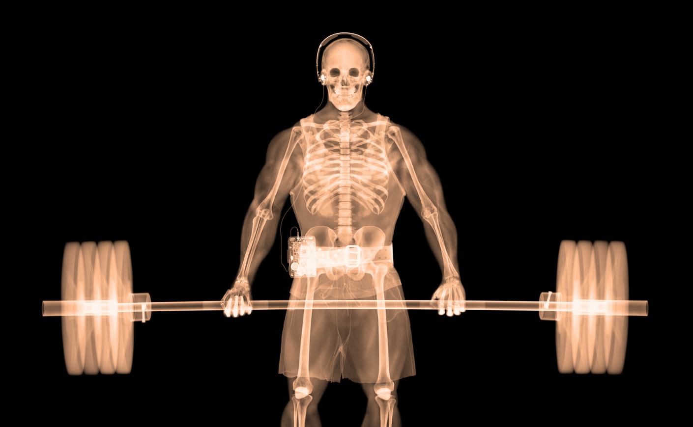 a skeleton lifting weights