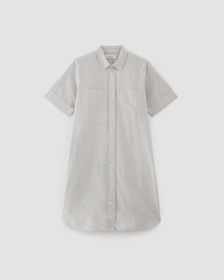 everlane shirt dress