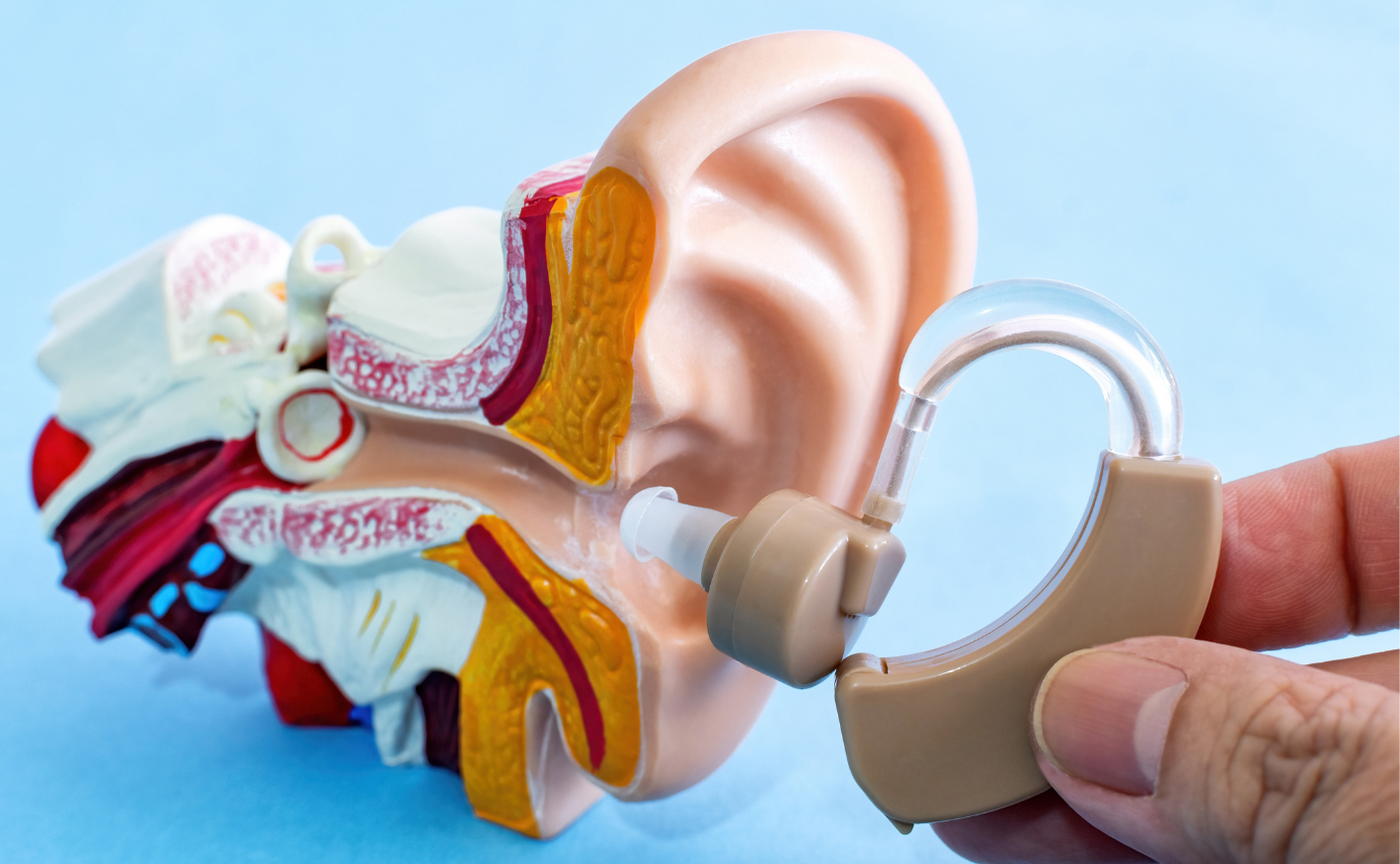 A hearing aid being placed into a model of an ear