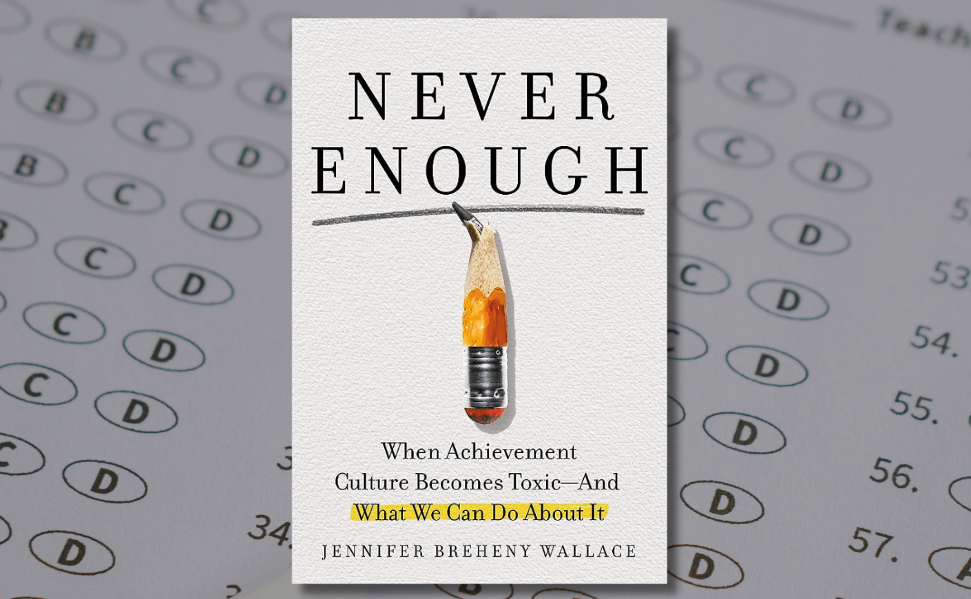 cover of the book Never Enough