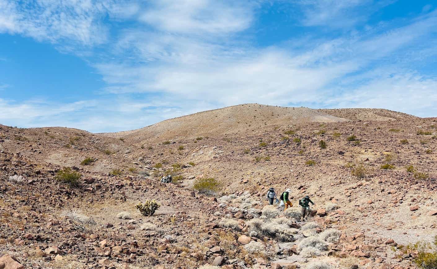 People hike through a desert