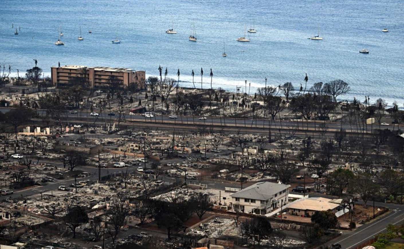 Here's How to Help Maui Rebuild From the Fires