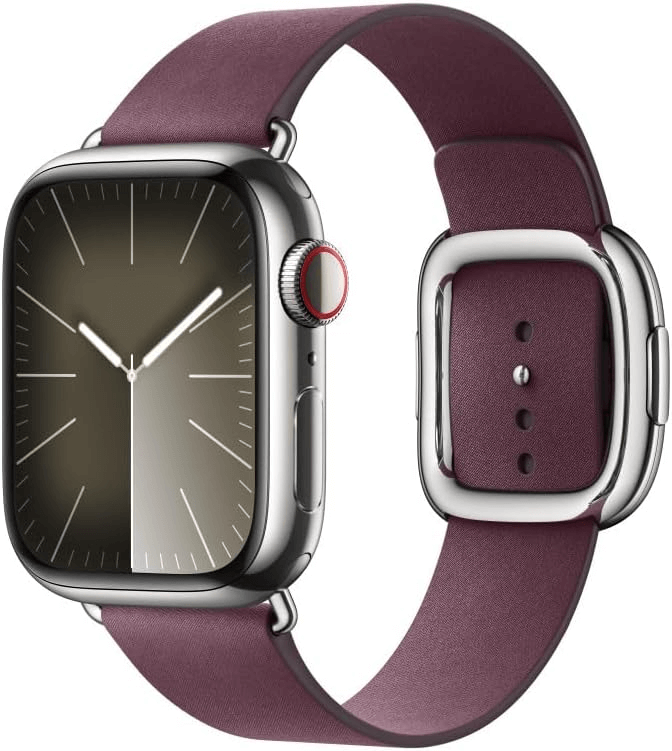 apple modern watch strap
