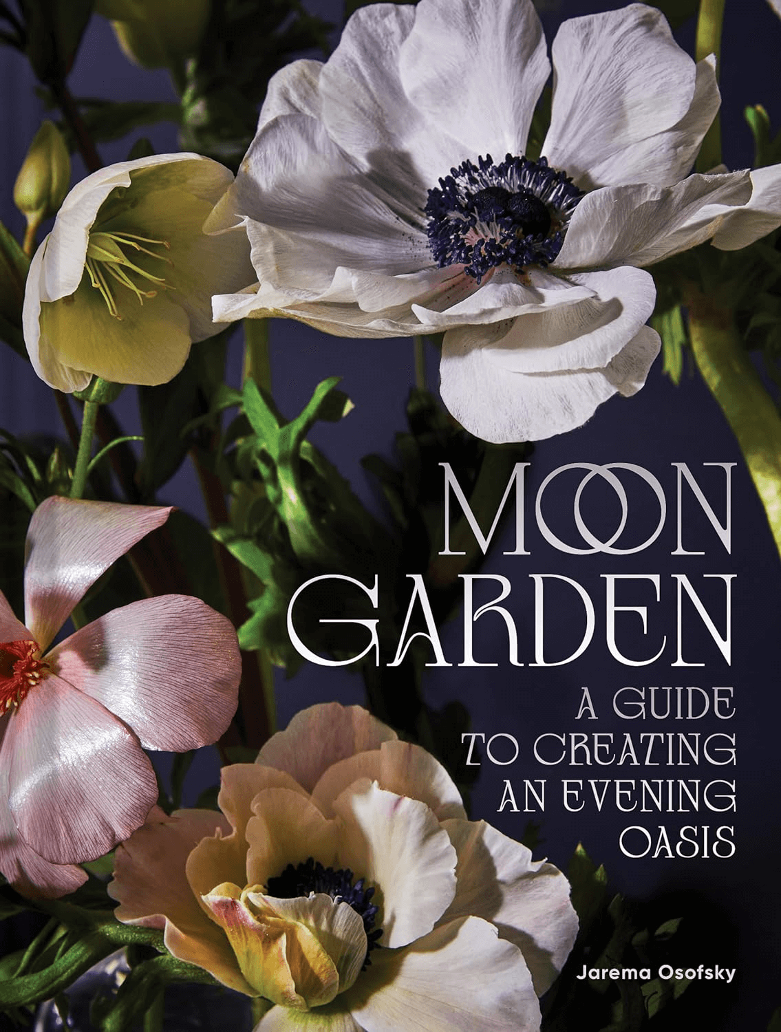 moon garden by jarema osofsky