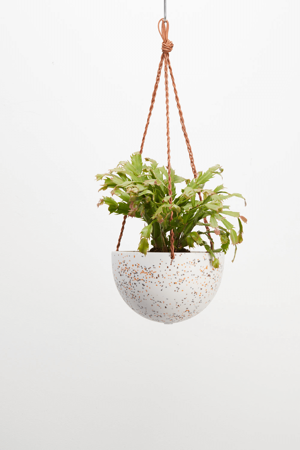 dome hanging planter