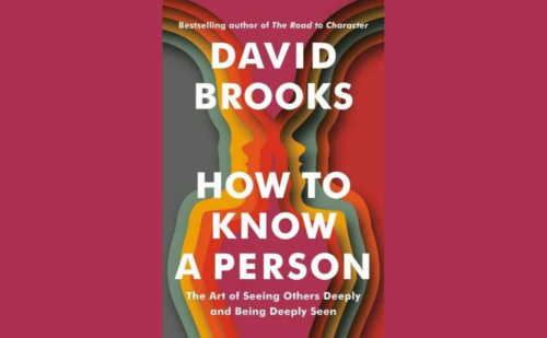david brooks book cover
